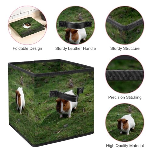 Boîte de rangement pliable en tissu pour gagner de la place dans la maison