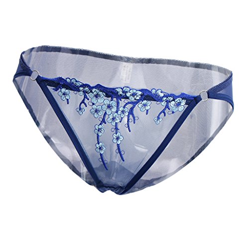DYNWAVE Calcinhas Bordadas Femininas Respirável de Renda Transparente Cuecas Cuecas