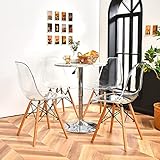 Moccha Dining Chairs Set of 4, Dining Side Chairs w/Beech Wood Legs in Clear, Modern Mid Century Tra