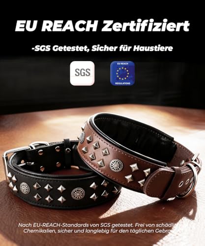 EliteGuard Hundehalsband Leder, 5,6 cm Breit, Handgefertigt Mit Nieten Und Edelstahlschnalle, Für Den Täglichen Gebrauch Bei Großen Hunden, Schwarz M