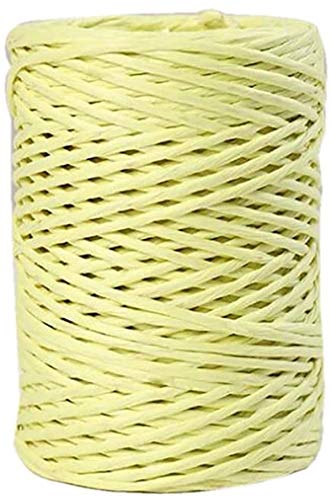 2mm Dia 164ft Lemon Green Wire Paper Vine Bind Wire Twine Paper Twine for Flower Bouquets Gardening Paper Wrapped Wire Winded DIY Project