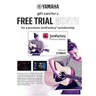 Yamaha GuitarGo – Kit d’initiation – Pack guitare acoustique pour débutants et guitaristes confirmés – Cordes, médiator… - Les Beatles, Paul McCartney, John Lennon, RIngo Starr, George Harrison Yamaha GuitarGo – Kit d’initiation – Pack guitare acoustique pour débutants et guitaristes confirmés – Cordes, médiator… – Image 4