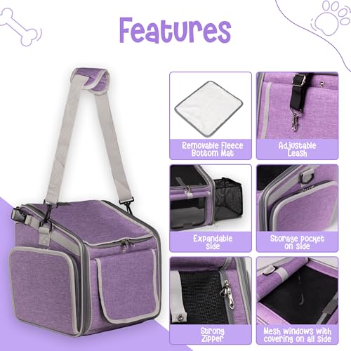 Picea cesta de bicicleta para cães, janelas de malha, 2 trelas de segurança, laterais macias, transp