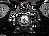 z1000 forum reifen  3D-SCHUTZGABELPLATTE kompatibel für Motorrad Kawasaki Z 1000SX Z1000 SX