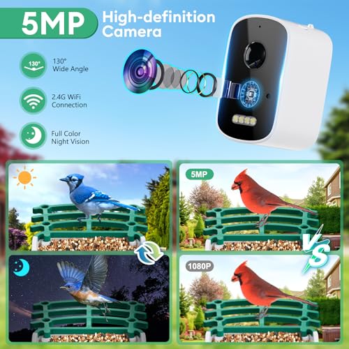 image for Fvwwe Smart Bird Feeder with Camera Solar Powered, AI Identify Bird Sp