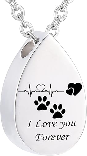 BLNETU Collar redondo de acero inoxidable, joyería conmemorativa, urna de cremación, cenizas, perro, colgante de recuerdo con estampado de pata