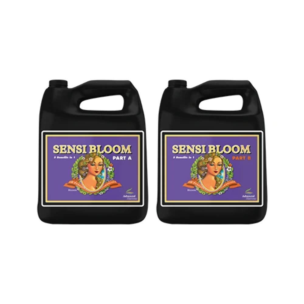 PH Perfect Sensi Bloom A - Image 6