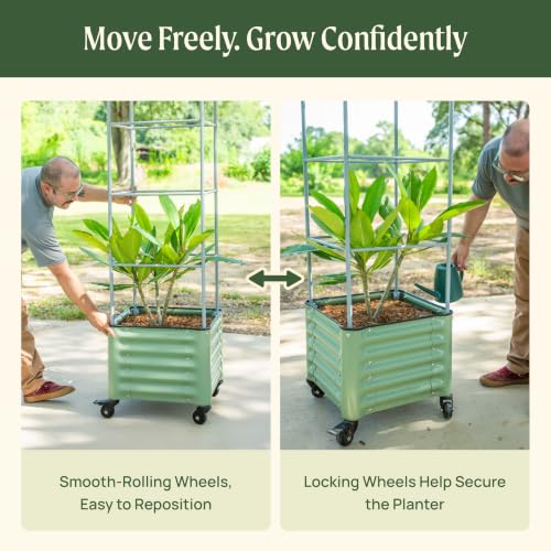 Image of Vego garden Classic Rolling Cube Tomato Planter with Metal Cage & Wheels, 30 Gallon Rolling Planter for Tomatoes, Peppers & Beans, 21 inch x 21 inch x 19 inch, 54 inch Plant Support Cage-Olive Green