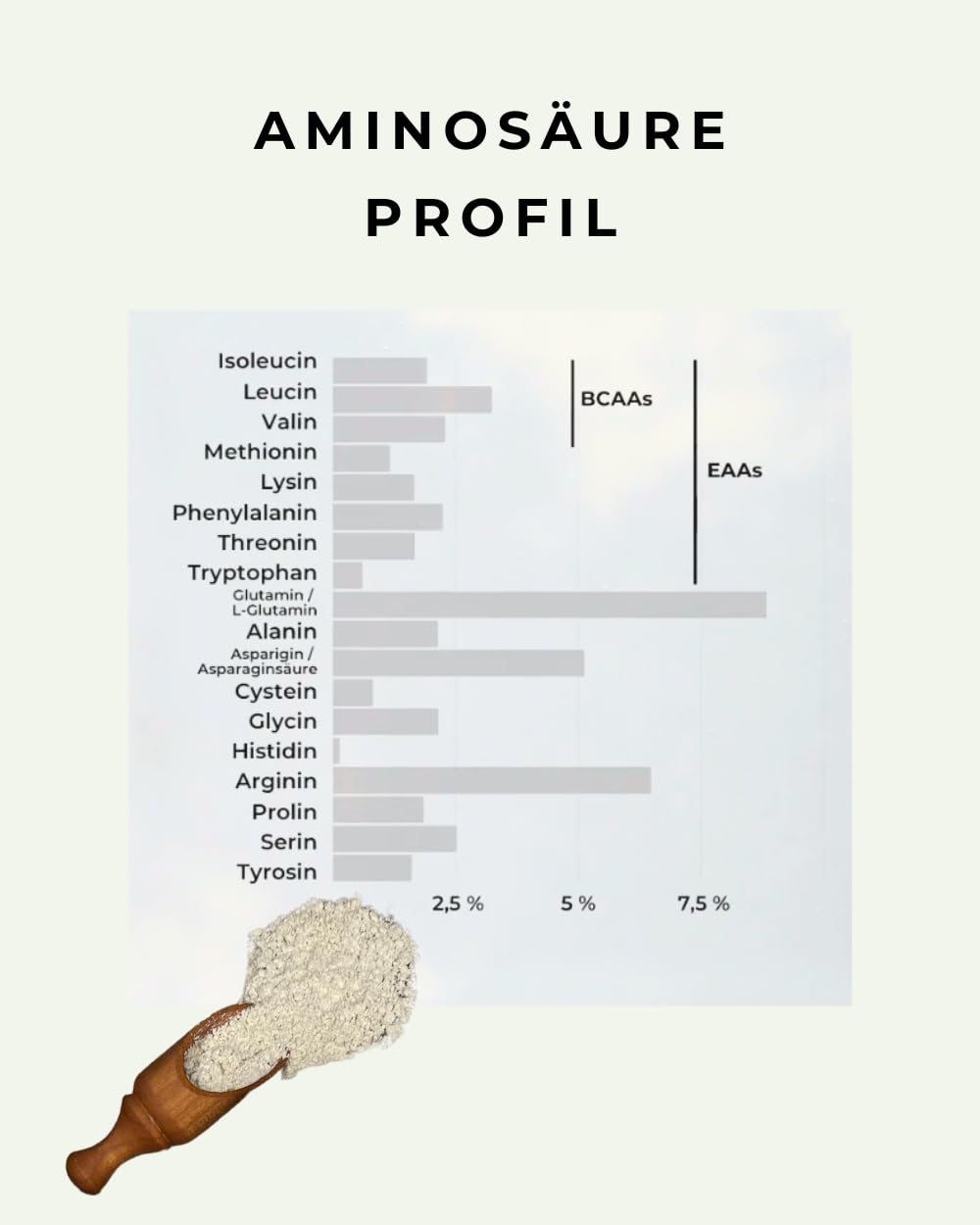 djive naturals - Veganes Bio Protein I naturbelassen, lecker, cremig, vielseitig I neutral bis nussig - Hanfprotein 62% (1 x 450 g)