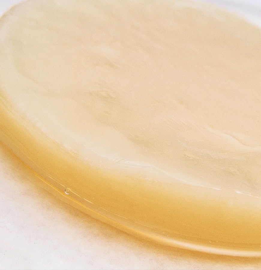 Kombucha scoby and starter liquid