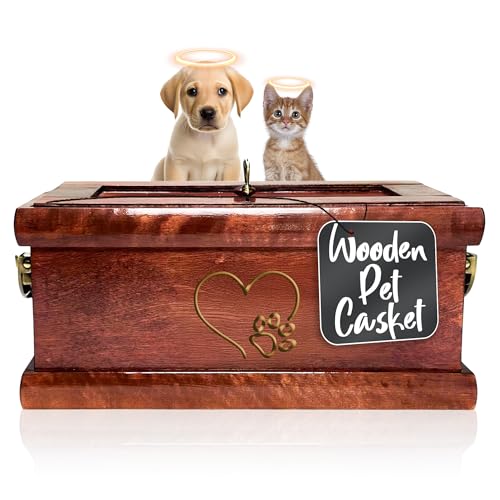 Why would my cat suddenly attack me