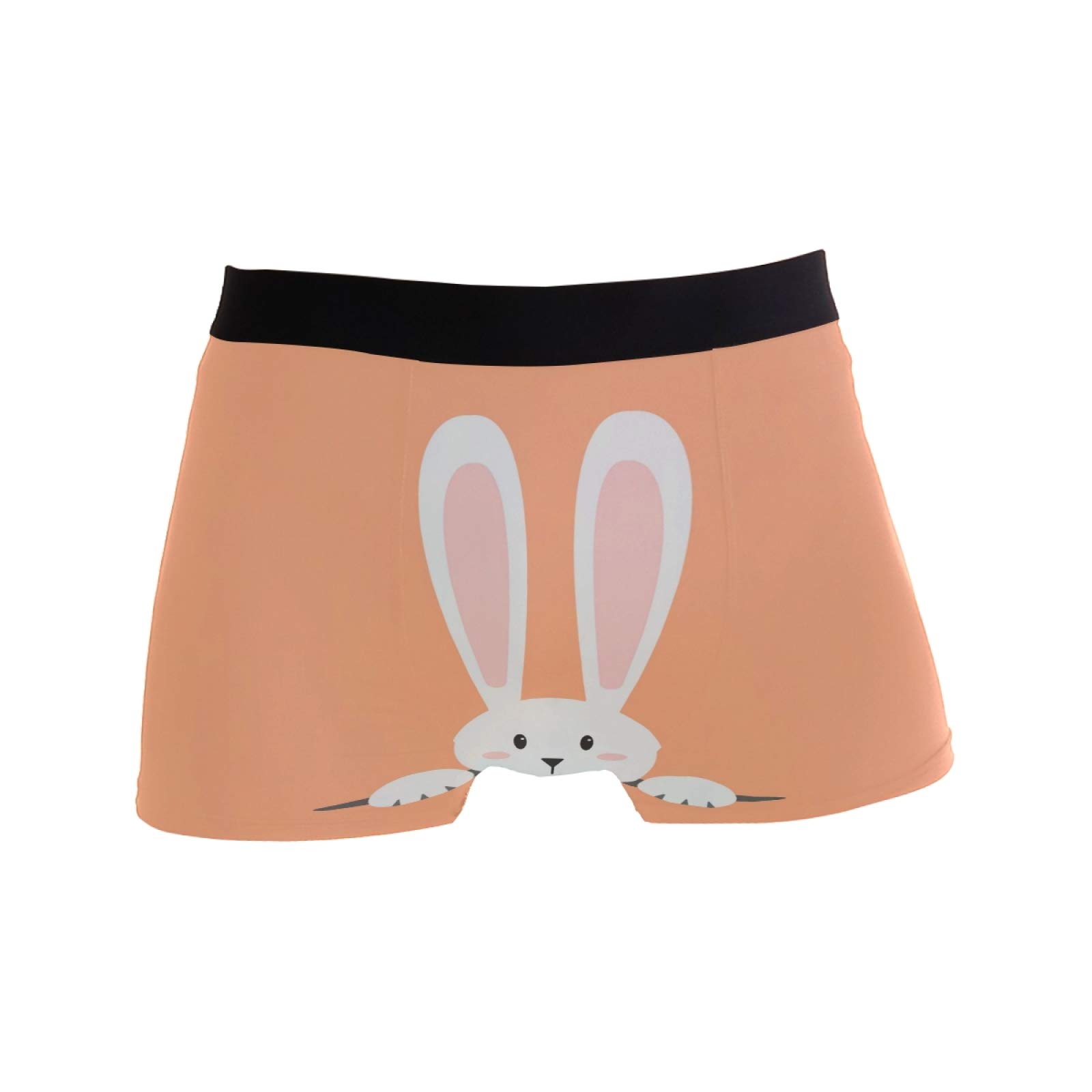 Linomo Men's Boxer Briefs Cute Rabbit Bunny Hare Boxers Shorts Underwear Underpants Multicoloured