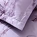A Nice Night Purple Marble Design Quilt Comforter Set,Soft Lightweight Microfiber Comforter Bedding Set for Men and Women,Purple