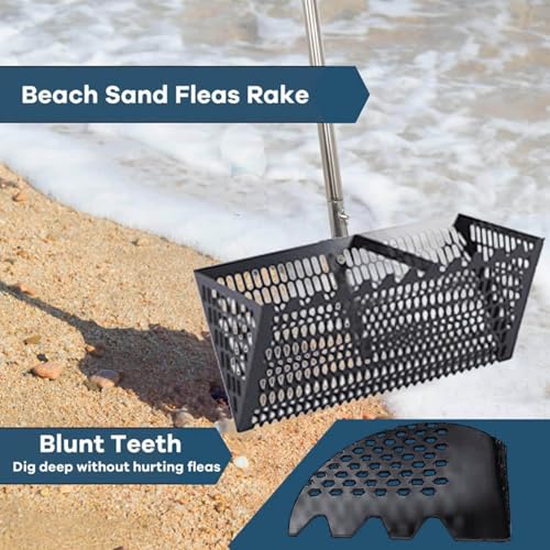 Rastrello per setacciare la sabbia, paletta da spiaggia in acciaio inox da 40 cm con manico staccabile per caccia alle conchiglie e scoperta di tesori, compatto