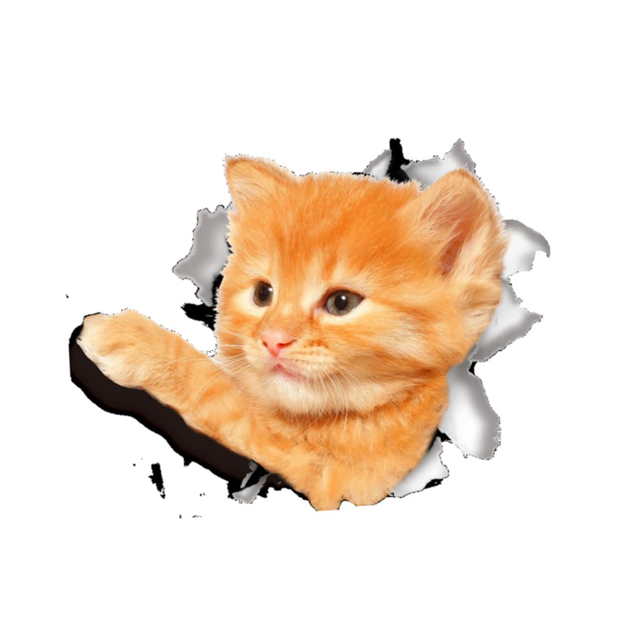 Alipis Toilet Seat Sticker Decals Lid Tattoo Funny Notebook Stickers Bathroom Stickers Cute Toilet Stickers Toilet Cat Sticker Toilet Bowl Seat Wall Decor Dog Animal 3d Logo Stickers