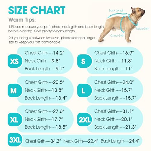 Image of IDOMIK Dog Surgery Recovery Suit for Spay Neuter, E-Collar Cone Alternative | Easy to Wear, Breathable & Protective, Adjustable Dog Onesie for Small Medium Large Dogs, Anti Licking Abdominal Wounds