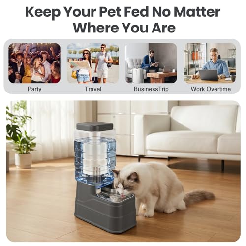 Automatic Dog Water Dispenser Gravity Stainless Steel Water Feeder Cat Waterer Feeder with Wide Mouth Bowl for Small Medium Dog Puppy Kitten (Filter &Ice Pack Included) 2.2Gallon Gray by MJpepark - Image 2