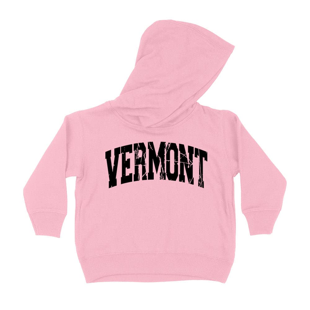 Distressed Vermont Collegiate Kids Hoodie Sweatshirt Toddler 5T Light Pink