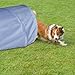 Relaxdays Hundetunnel, Spieltunnel für aktive Hunde, Hundetraining, 200 cm lang, Ø 40 cm, Faltbarer Agilitytunnel, grau