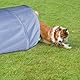 Relaxdays Hundetunnel, Spieltunnel für aktive Hunde, Hundetraining, 200 cm lang, Ø 40 cm, Faltbarer Agilitytunnel, grau