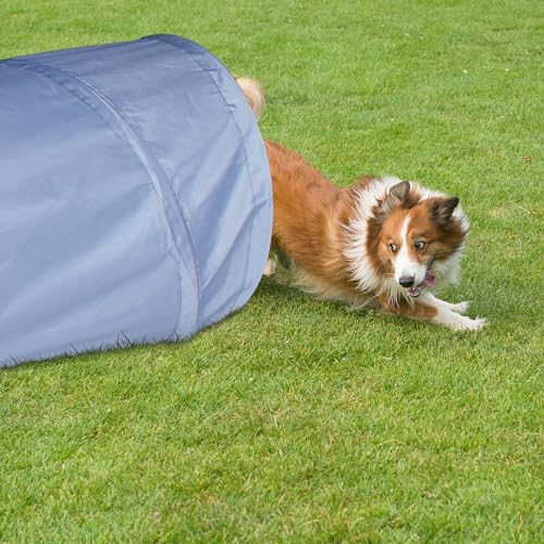 Relaxdays Hundetunnel, Spieltunnel für aktive Hunde, Hundetraining, 200 cm lang, Ø 40 cm, Faltbarer Agilitytunnel, grau