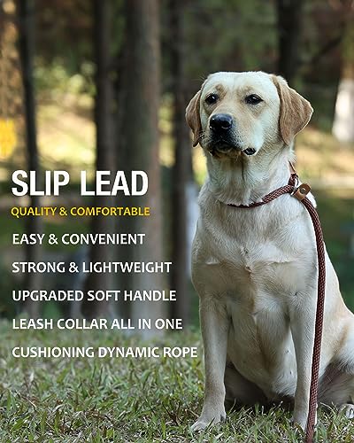 lynxking 6 FT Dog Leash Slip Lead 2 Pack Strong Heavy Duty Braided Dog Training Leash No Pull Training Lead Leashes for Medium Large and Small Dogs lynxking 6 FT Dog Leash Slip Lead 2 Pack Strong Heavy Duty Braided Dog Training Leash No Pull Training Lead Leashes for Medium Large and Small Dogs
