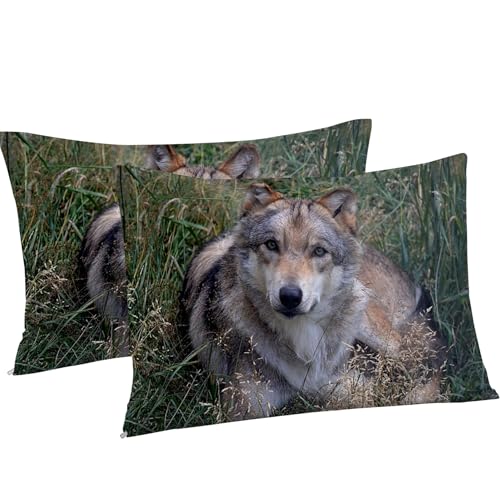 Parure de lit loup 200x200 cm ensemble de literie 3 pièces microfibre