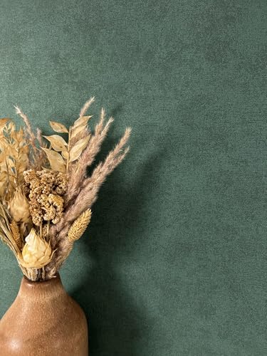 NEWROOM Papel pintado Verde Color Liso Tejido no Tejido - Moderno Estructura Monocromo Color Liso