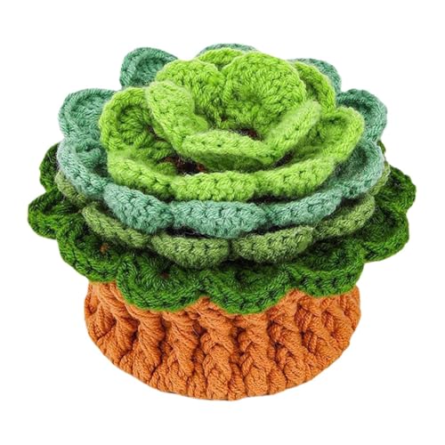 Kit de posavasos de ganchillo, posavasos de ganchillo | Kit de plantas hechas a mano de ganchillo - Divertido posavasos para macetas de ganchillo, kit decorativo de ganchillo c