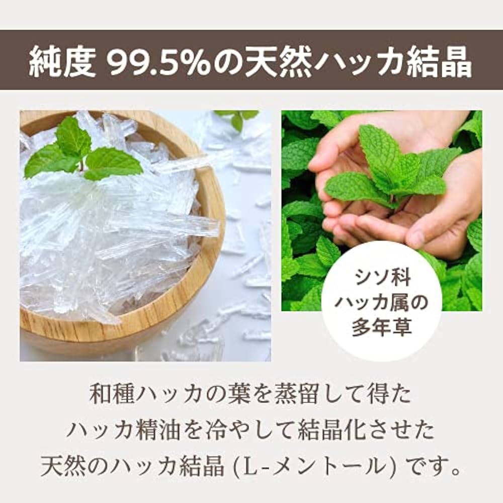 天然 ハッカ脳 100g メントールクリスタル 和ハッカ 結晶×10個セット 楽天市場】天然 ハッカ脳 100g メントールクリスタル メント