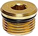 Moroso 97006 Replacement Magnetic Drain Plug, 3/4-16 (#8AN) Thread, Gold