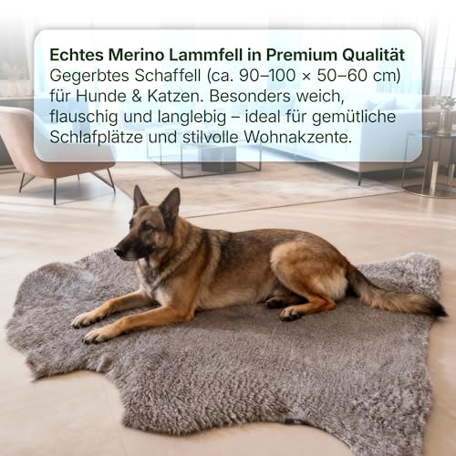 Miauff Echtes Lammfell/Schaffell für Hunde & Katzen, Merino Naturfell in Premium Qualität - weich & flauschig, selbstreinigend, mit Naturmerkmalen ca. 90-100 cm x 50-60cm (braun)