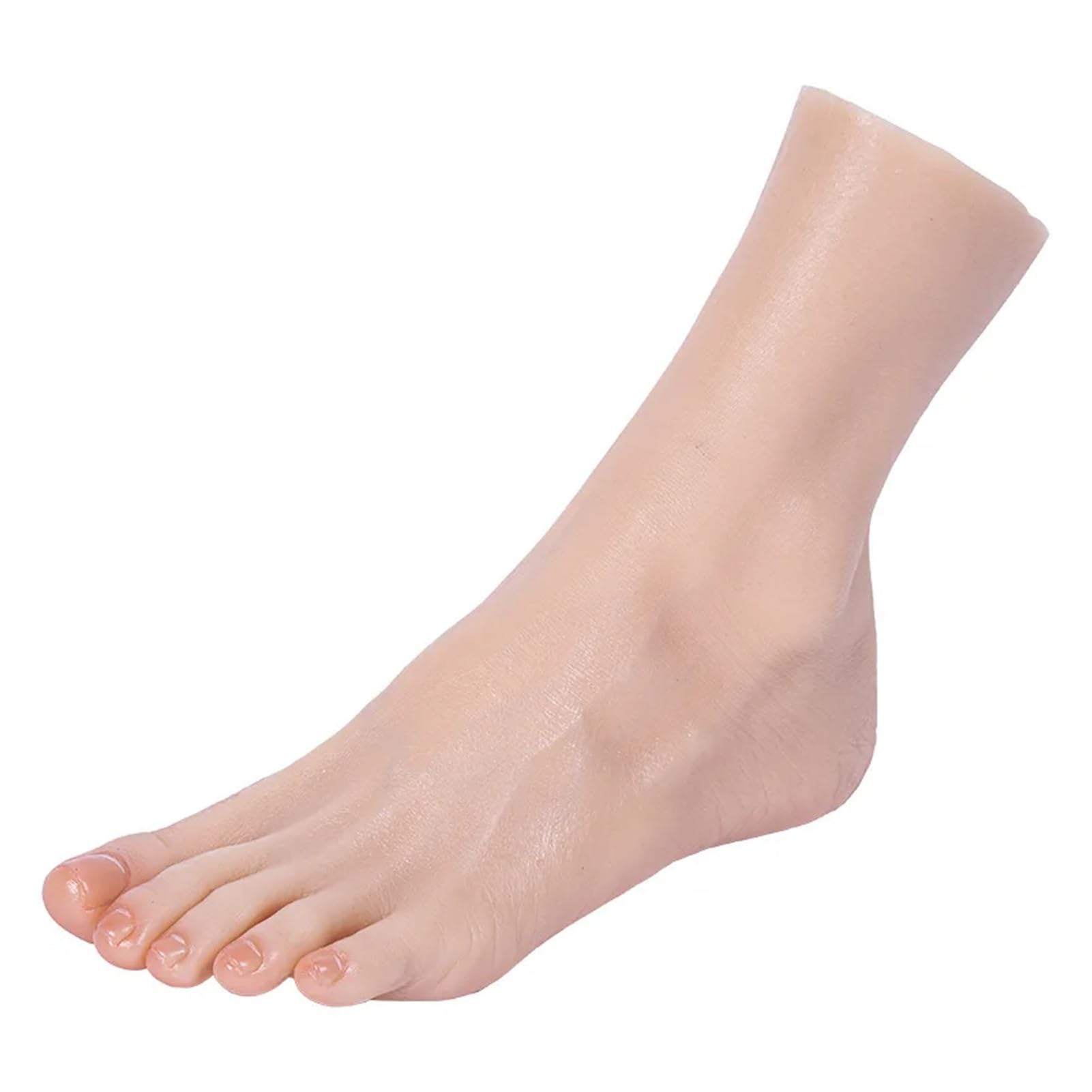 Mannequin de Pied en Silicone for Femme, Taille 36, avec Squelette simulé, Orteils os, Cheville, for Exposition et Collection Chaussures Chaussettes Chaussure Chaussette Bijoux(Left Foot)