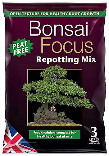 GROWTH TECHNOLOGY LTD MDBF2 BONSAI FOCUS REPOTTING MIX 3 LITRE BROWN