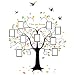 Family Tree Wall Decal - 9 Large Photo Picture Sticker Frames - Peel and Stick Wall Decal - Tree Branches Decoration - Best Removable Wall Decal Mural Decor for Any Room- 80" Wide x 63" Tall