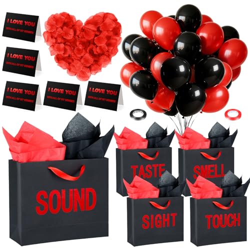 5 Senses MtgobO ޗp ܊ ubNMtgobO ỏԂтt o[MtgfR[V aobO  LO o^Cf[(bhA12.6 x 8.7 x 4C`)