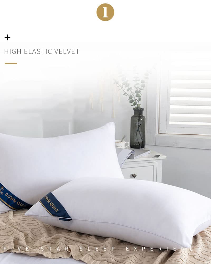 MISSMAO Oreiller 48x74 Lot de 2 pour Le Lit Coussins pour Dormir et Décoratifs Antiallergiques Anti-Acariens et Rafraichissant Rectangulaire Oreillers de Lit,Blanc,48x74cm(700g)