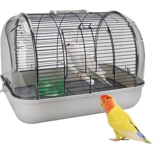 WhiteForest  L[P[W  UP[W o o[hLA ̑ Oo p ^ t s ʉ@ ړ h ~܂ؕt ʋC  CR IE gݗĎ   o[hnEX ybgobO