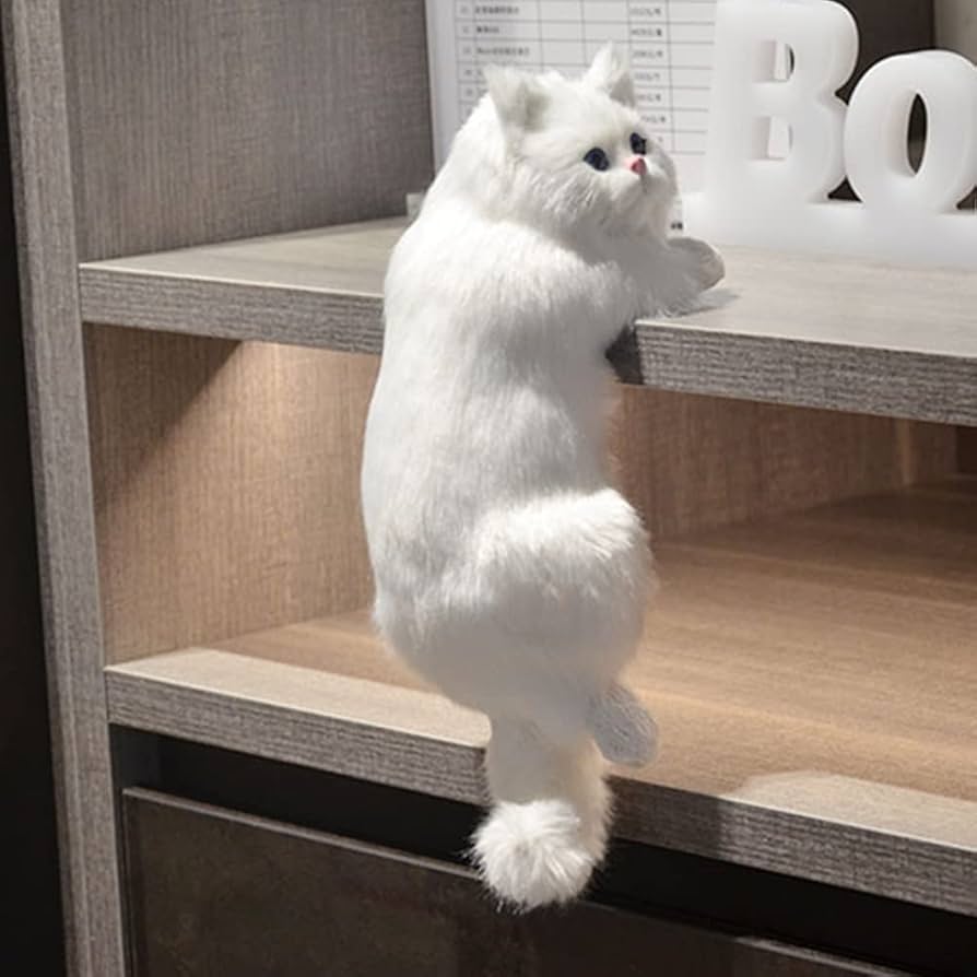 ねこ・動物　かわいい写真集セット Amazon | Mr.Z 1/6 サイズ 猫 可愛い 家猫 動物 リアル