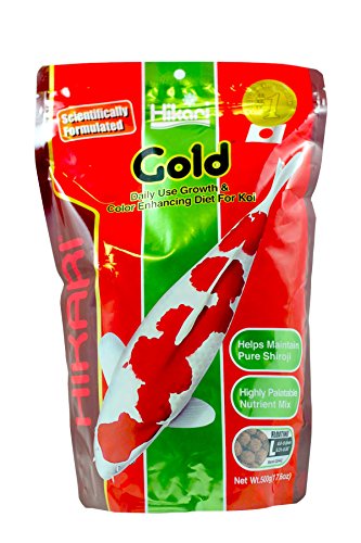 Hikari Usa Inc AHK02442 Gold 17.6-Ounce Large