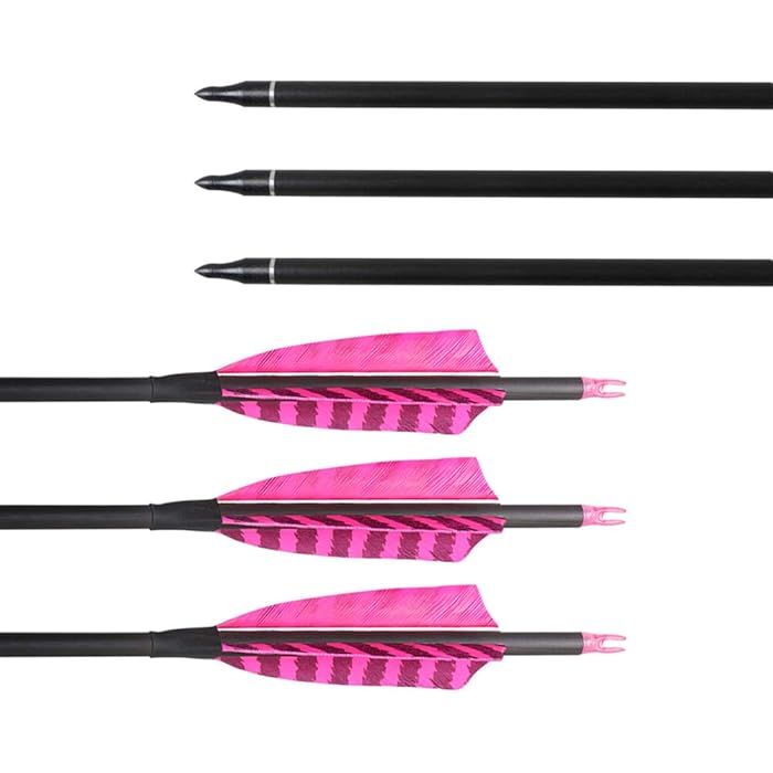 Buy Huntingdoor 31 inch Carbon Arrows Hunting Arrows Spine 400