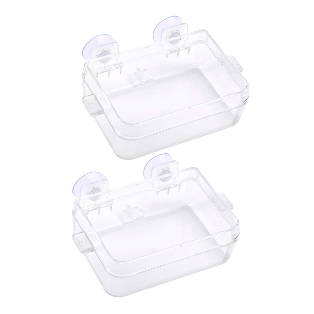 BESPORTBLE 6pezzi Ciotole Trasparenti per Rettili per Lucertole e Gecko Accessorio Pratico Piante Terrario e Animali Domestici
