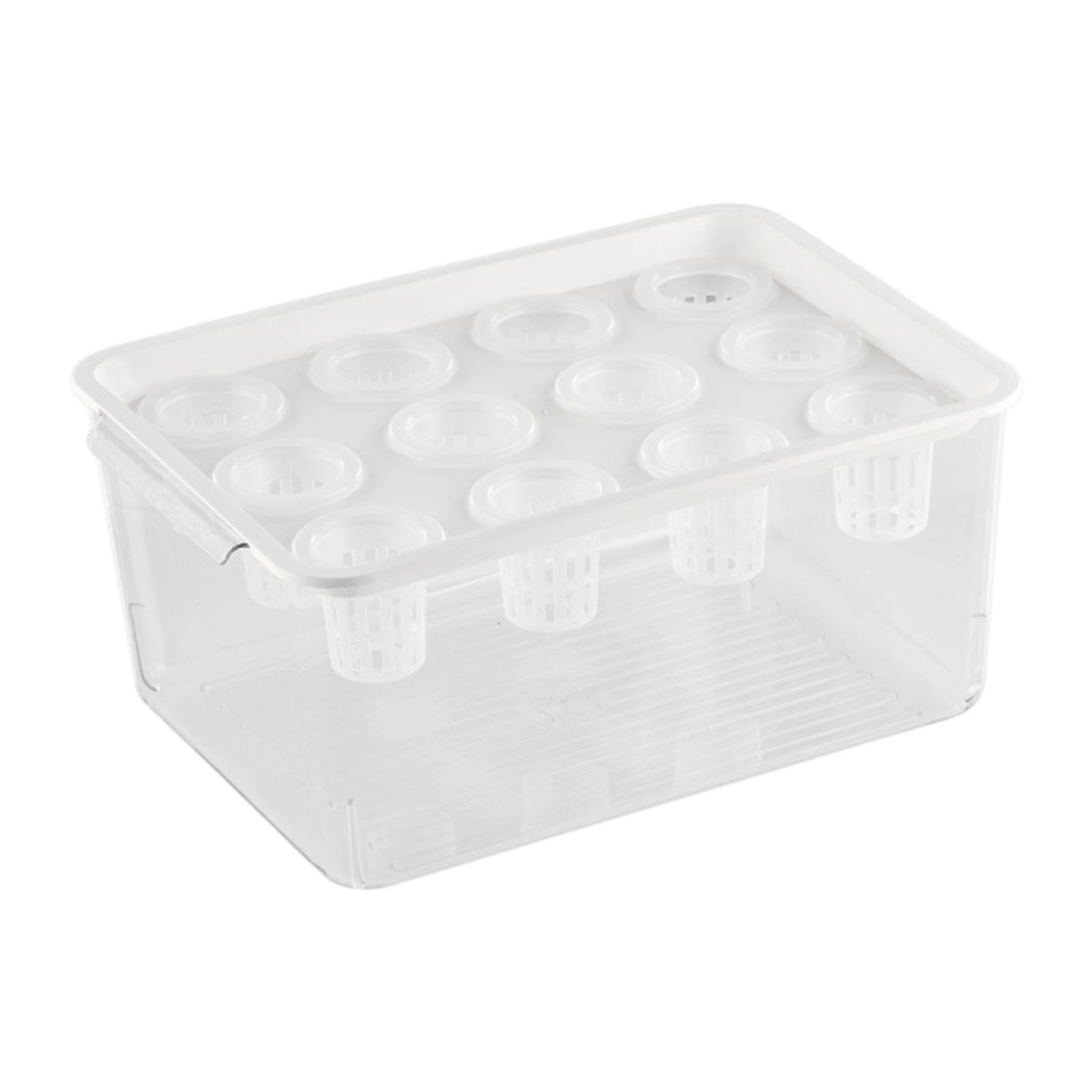 Kit hydroponics grower rectangle transparent avec boîte de culture hydroponique 12 trous