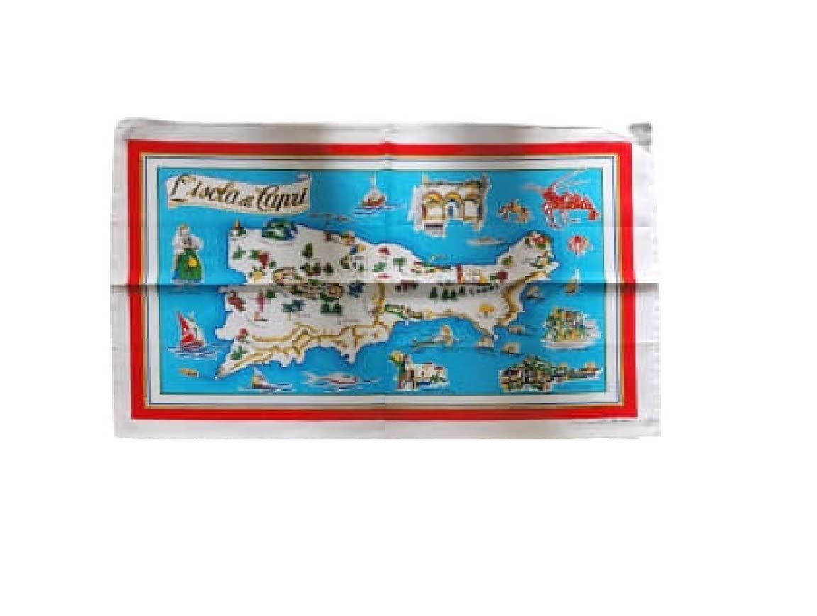Torchons pour animaux italiens 85 x 55 cm pour éliminer l'humidité du pelage