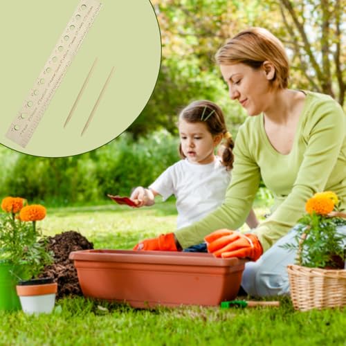 Regla para Plantar y Espaciar Semillas de Madera miniatura 7