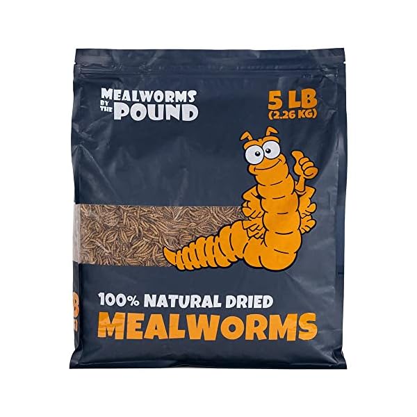 MBTP Bulk Dried Mealworms Treats for Chickens & Wild Birds (5 Lbs