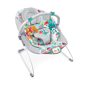 Bright Starts vibrerende babywip olifant en toucan multicolor