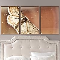 3 Piece Framed Canvas Wall Art Colorful Butterfly Insects Canvas Prints Home Artwork Decoration for Living Room,Bedroom - 16