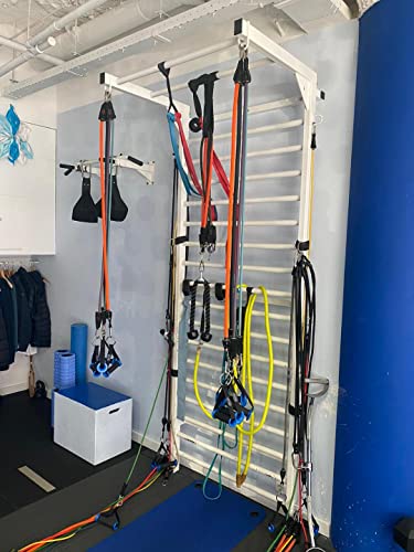 ARTIMEX Espalier en Acier pour Gymnastique et Fitness - Utilisées dans Les Maisons, Les gymnases ou Les centres de Fitness, réf. 231-Gladiateur-90 (Espalier en métal, 17 Barres, 230 x 100 cm)