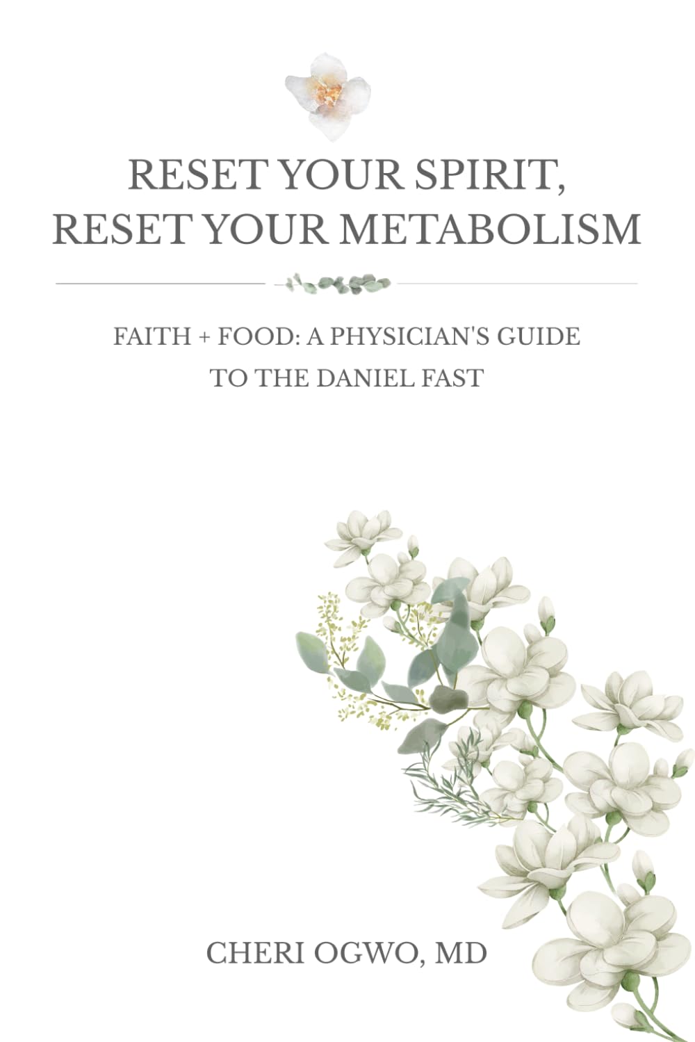 Reset Your Spirit, Reset Your Metabolism: Faith + Food: A Physician's Guide To The Daniel Fast